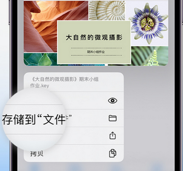 关岭apple维修中心分享iPhone文件应用中存储和找到下载文件