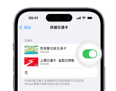 关岭apple维修点分享iPhone上更换Apple Pay快捷交通卡手绘卡面 