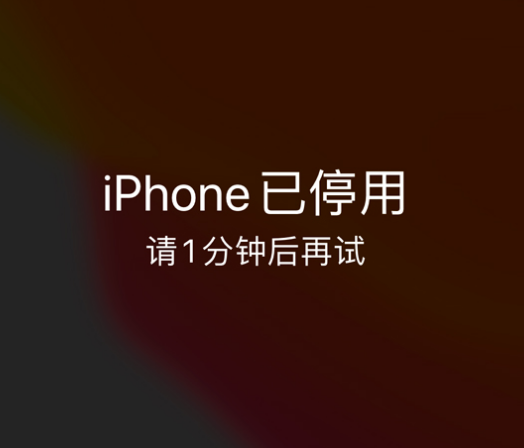 关岭苹果手机维修分享:iPhone 显示“不可用”或“已停用”怎么办？还能保留数据吗？ 