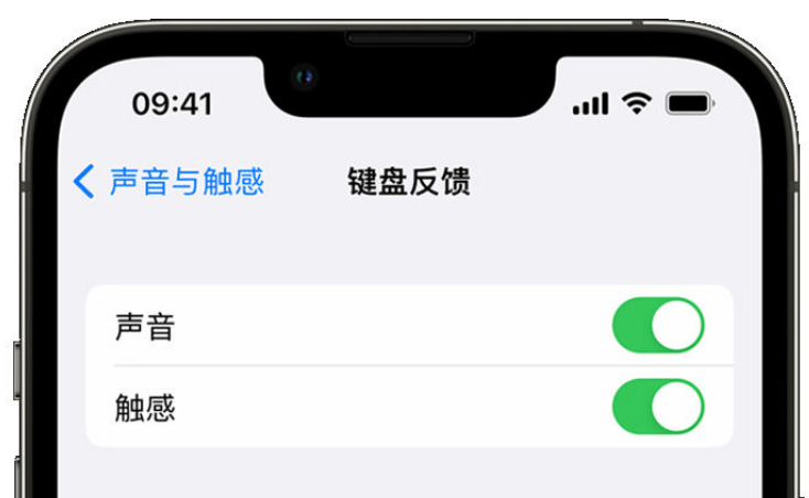 关岭苹果手机维修分享iPhone 14触感键盘使用方法 