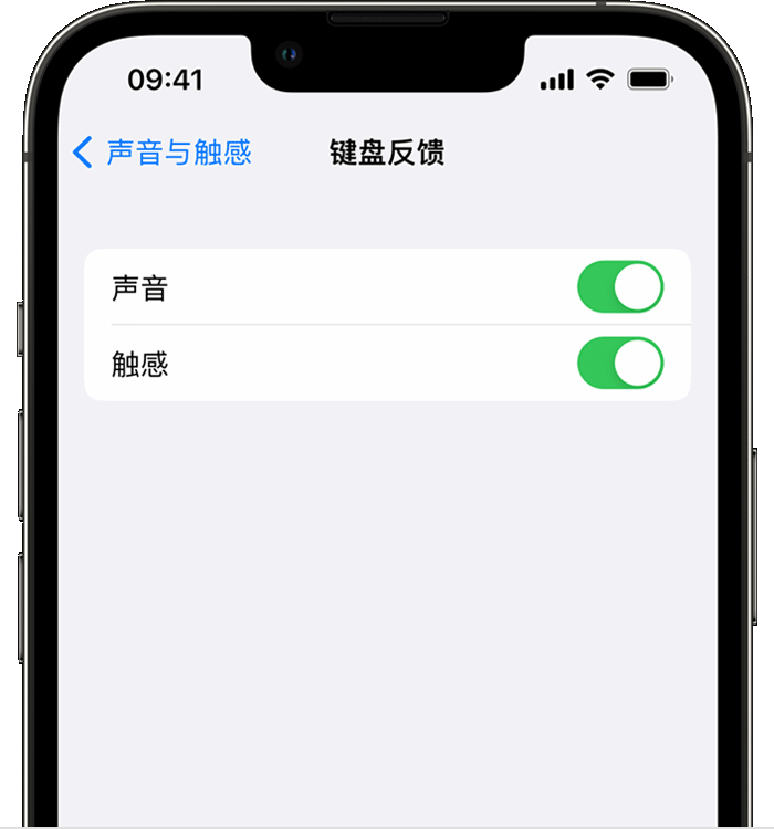 关岭苹果14维修店分享如何在 iPhone 14 机型中使用触感键盘 