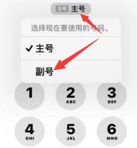 关岭苹果14维修店分享iPhone 14 Pro Max使用副卡打电话的方法 