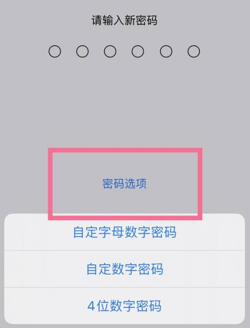 关岭苹果14维修分享iPhone 14plus设置密码的方法 