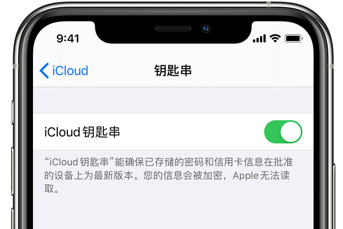 关岭苹果手机维修分享在 iPhone 上开启 iCloud 钥匙串之后会储存哪些信息 