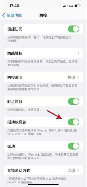 关岭苹果手机维修分享iPhone手机如何设置摇一摇删除文字 