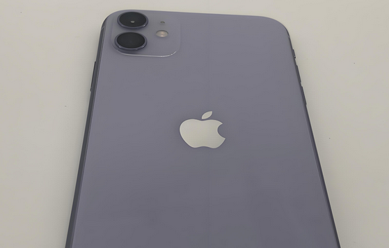 关岭苹果11系统维修分享iPhone11手机系统崩溃无法开机如何解决 